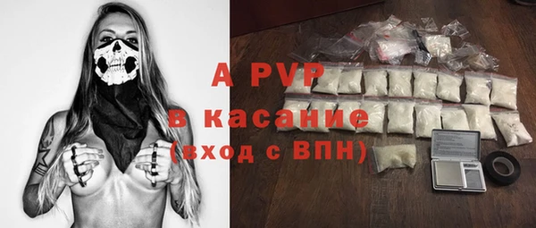 ECSTASY Алзамай