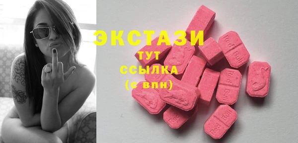 ECSTASY Алзамай