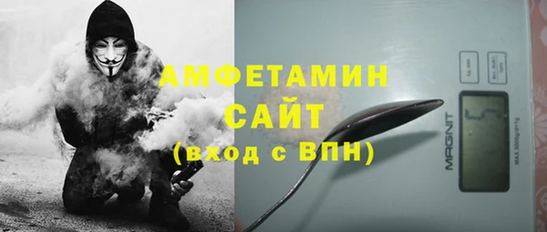 ECSTASY Алзамай