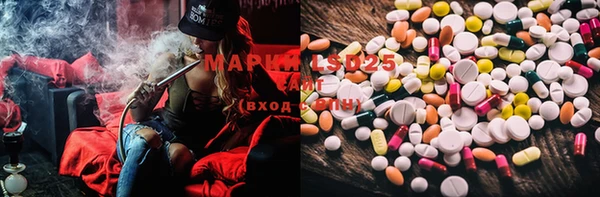 ECSTASY Алзамай