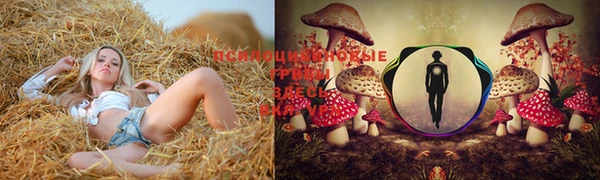 шишки Алексеевка