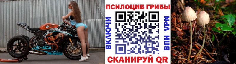 Псилоцибиновые грибы MAGIC MUSHROOMS  Бердск 